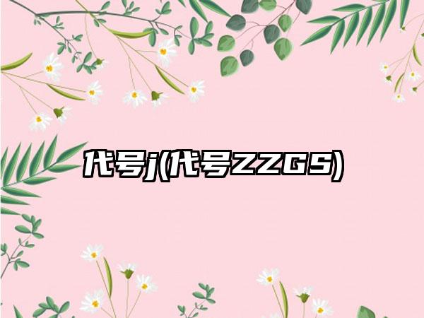 代号j(代号ZZGS)