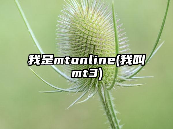我是mtonline(我叫mt3)