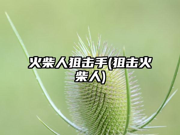 火柴人狙击手(狙击火柴人)
