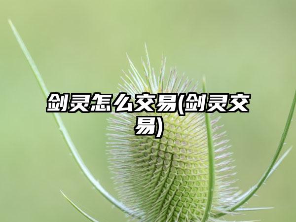 剑灵怎么交易(剑灵交易)