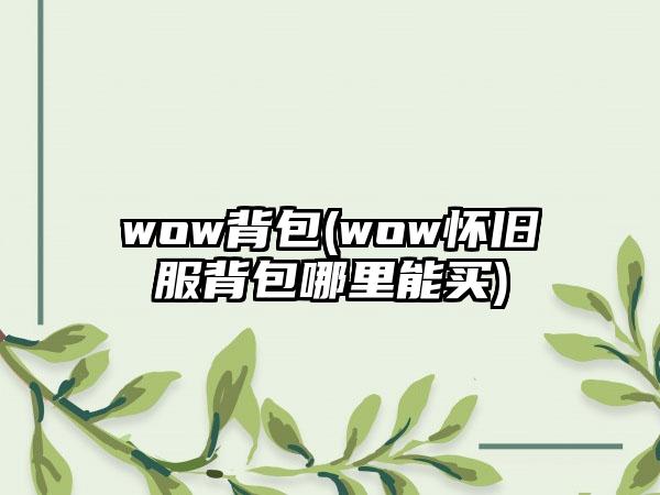 wow背包(wow怀旧服背包哪里能买)