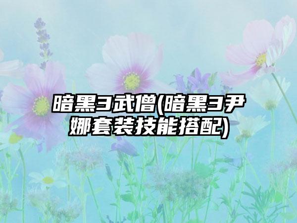 暗黑3武僧(暗黑3尹娜套装技能搭配)