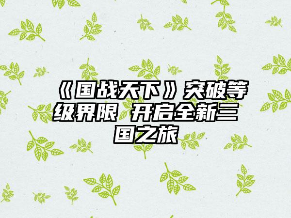 《国战天下》突破等级界限 开启全新三国之旅