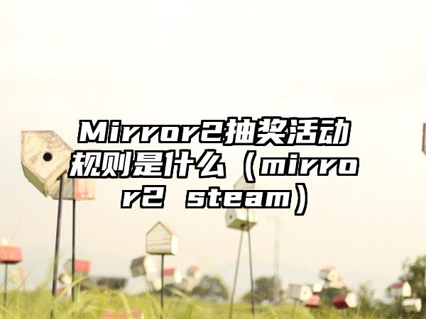 Mirror2抽奖活动规则是什么（mirror2 steam）