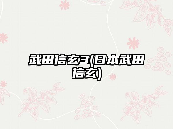 武田信玄3(日本武田信玄)