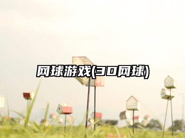 网球游戏(3D网球)