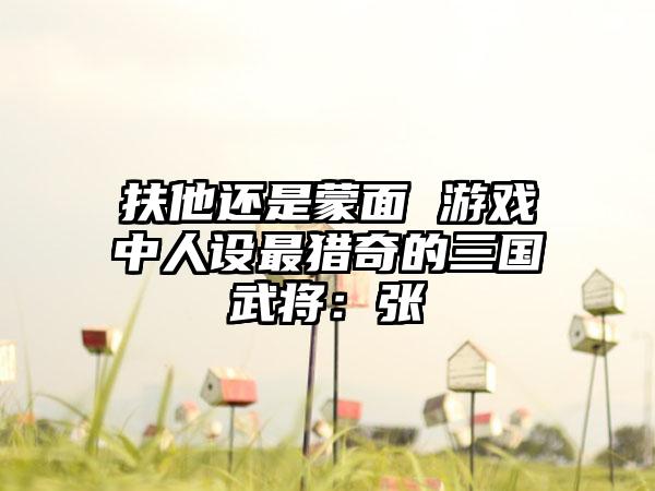 扶他还是蒙面 游戏中人设最猎奇的三国武将：张郃