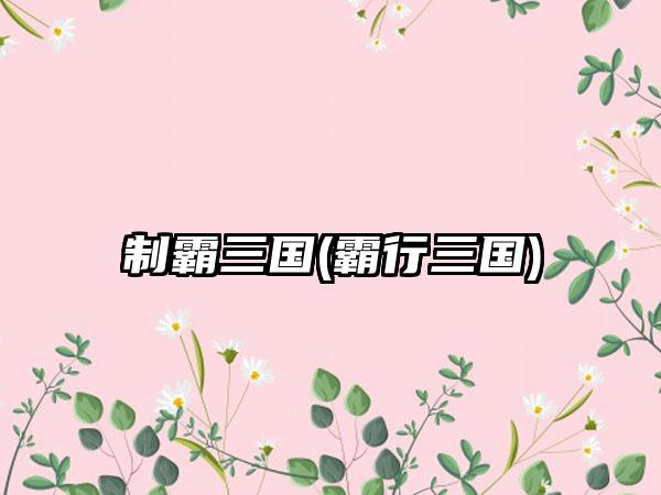 制霸三国(霸行三国)