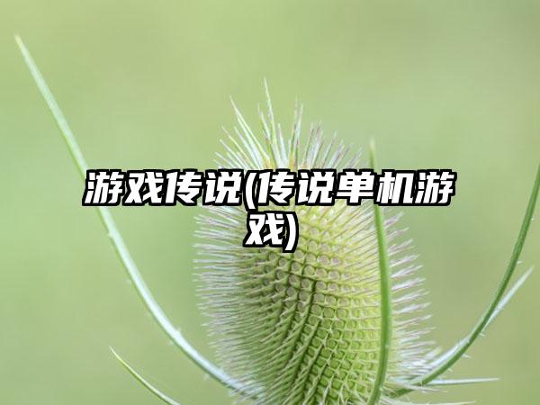 游戏传说(传说单机游戏)