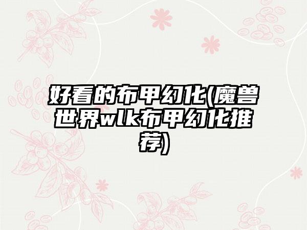 好看的布甲幻化(魔兽世界wlk布甲幻化推荐)