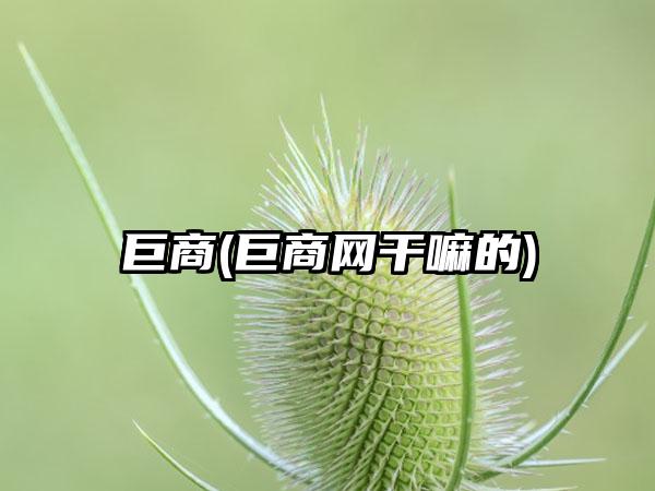 巨商(巨商网干嘛的)