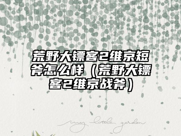 荒野大镖客2维京短斧怎么样（荒野大镖客2维京战斧）