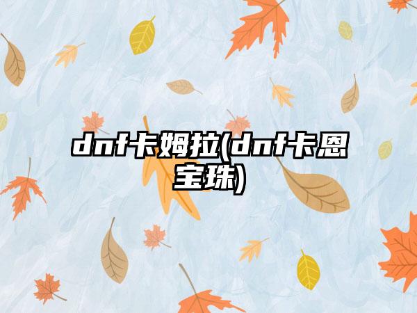 dnf卡姆拉(dnf卡恩宝珠)