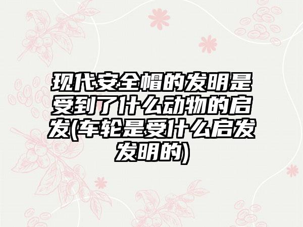 现代安全帽的发明是受到了什么动物的启发(车轮是受什么启发发明的)