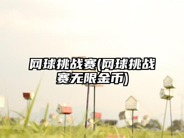 网球挑战赛(网球挑战赛无限金币)