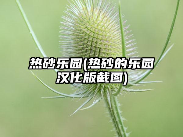 热砂乐园(热砂的乐园汉化版截图)