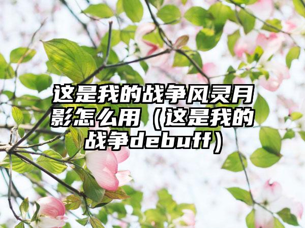 这是我的战争风灵月影怎么用（这是我的战争debuff）