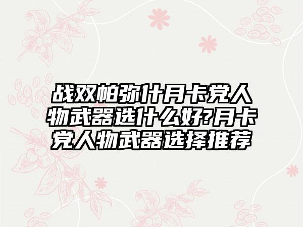 战双帕弥什月卡党人物武器选什么好?月卡党人物武器选择推荐