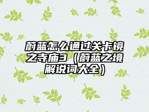 蔚蓝怎么通过关卡镜之寺庙3（蔚蓝之境解说词大全）