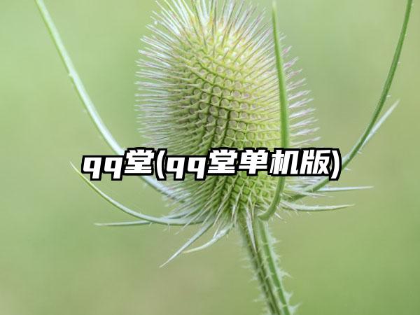 qq堂(qq堂单机版)