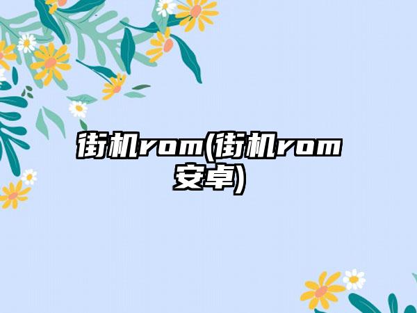 街机rom(街机rom安卓)