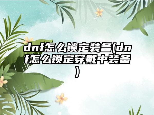 dnf怎么锁定装备(dnf怎么锁定穿戴中装备)
