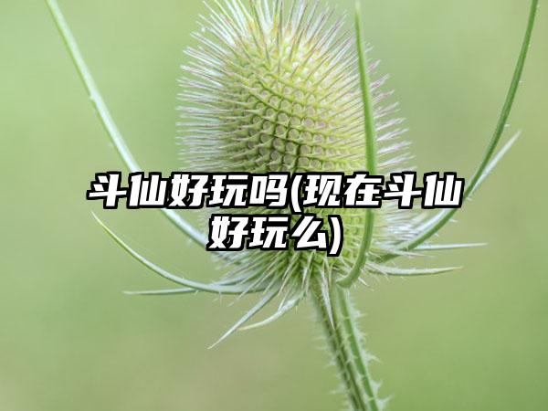 斗仙好玩吗(现在斗仙好玩么)