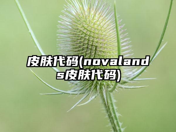 皮肤代码(novalands皮肤代码)
