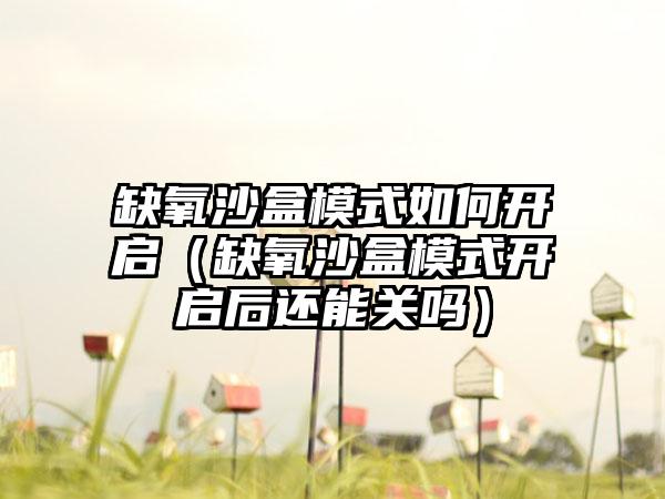 缺氧沙盒模式如何开启（缺氧沙盒模式开启后还能关吗）