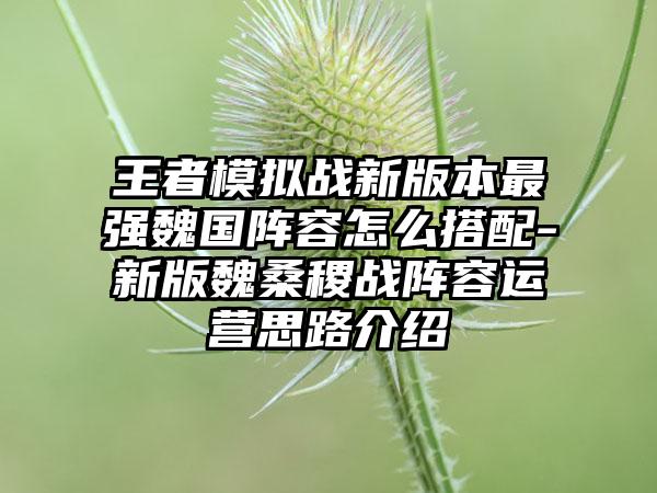 王者模拟战新版本最强魏国阵容怎么搭配-新版魏桑稷战阵容运营思路介绍