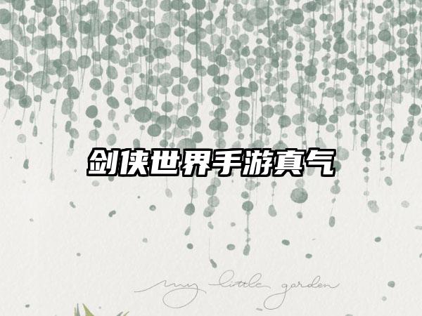 剑侠世界手游真气