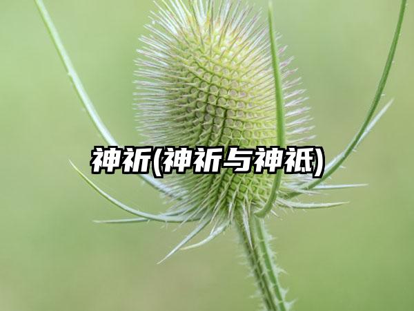 神祈(神祈与神祗)
