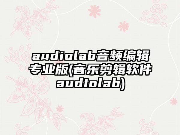audiolab音频编辑专业版(音乐剪辑软件audiolab)