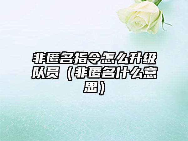 非匿名指令怎么升级队员（非匿名什么意思）
