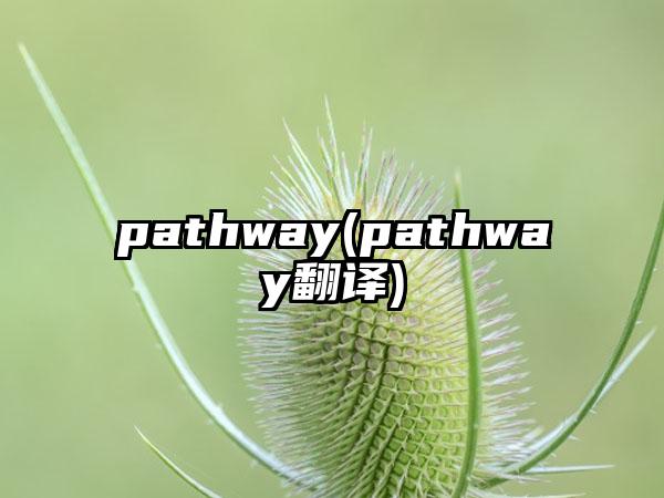 pathway(pathway翻译)