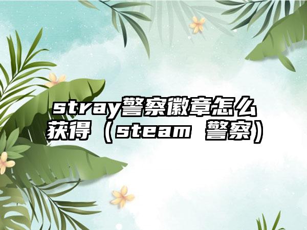 stray警察徽章怎么获得（steam 警察）