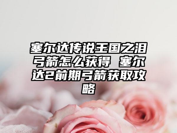 塞尔达传说王国之泪弓箭怎么获得 塞尔达2前期弓箭获取攻略