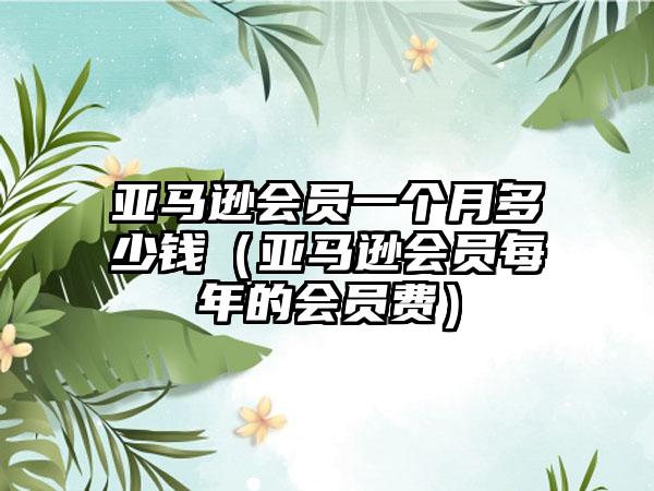 亚马逊会员一个月多少钱（亚马逊会员每年的会员费）