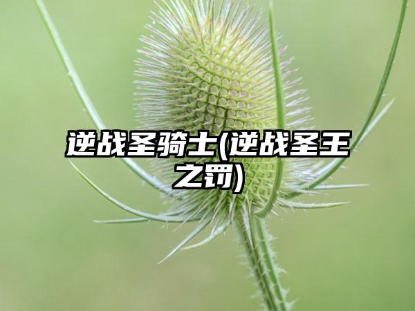 逆战圣骑士(逆战圣王之罚)