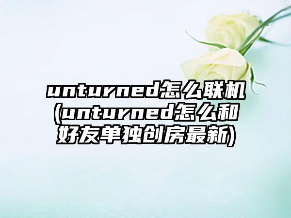unturned怎么联机(unturned怎么和好友单独创房最新)