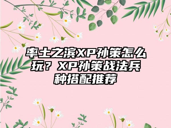 率土之滨XP孙策怎么玩？XP孙策战法兵种搭配推荐