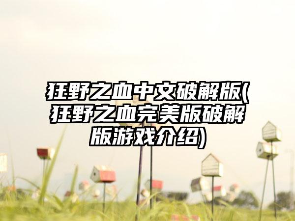 狂野之血中文破解版(狂野之血完美版破解版游戏介绍)