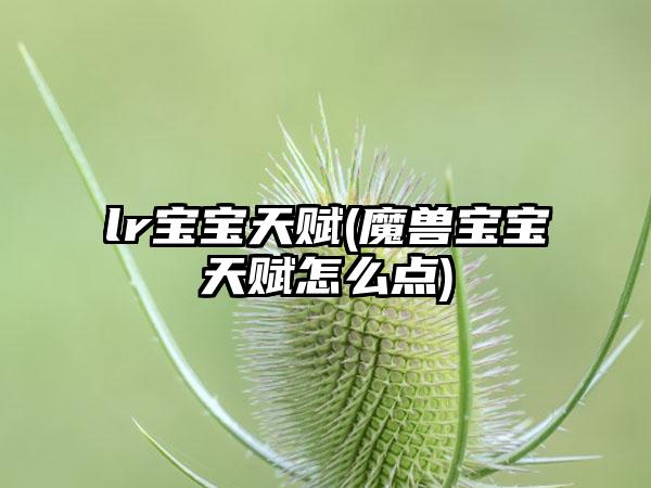lr宝宝天赋(魔兽宝宝天赋怎么点)