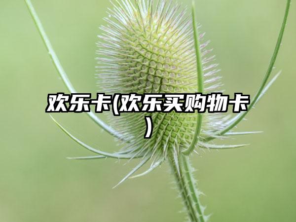 欢乐卡(欢乐买购物卡)