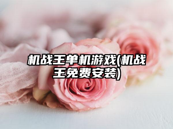 机战王单机游戏(机战王免费安装)