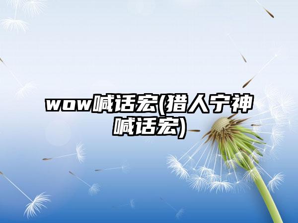 wow喊话宏(猎人宁神喊话宏)