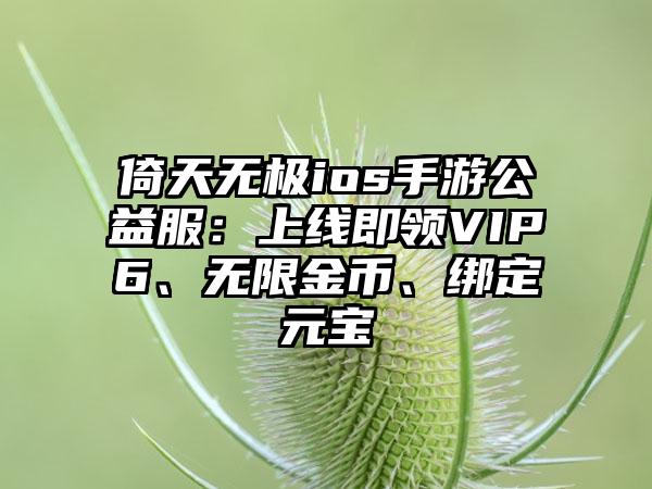 倚天无极ios手游公益服：上线即领VIP6、无限金币、绑定元宝