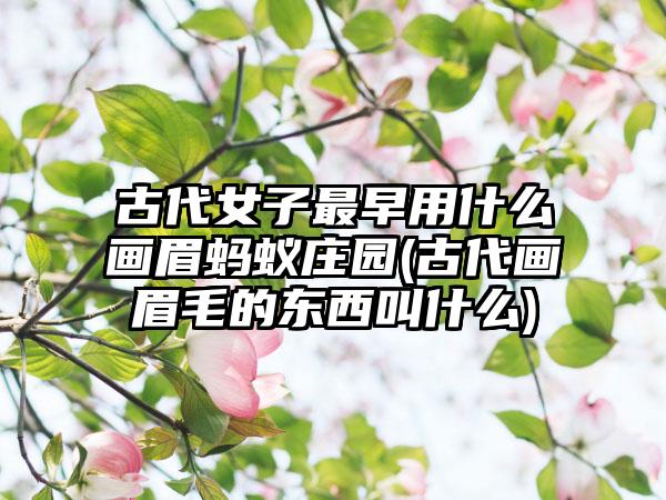 古代女子最早用什么画眉蚂蚁庄园(古代画眉毛的东西叫什么)