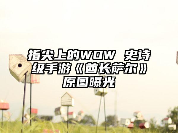 指尖上的WOW 史诗级手游《酋长萨尔》原图曝光
