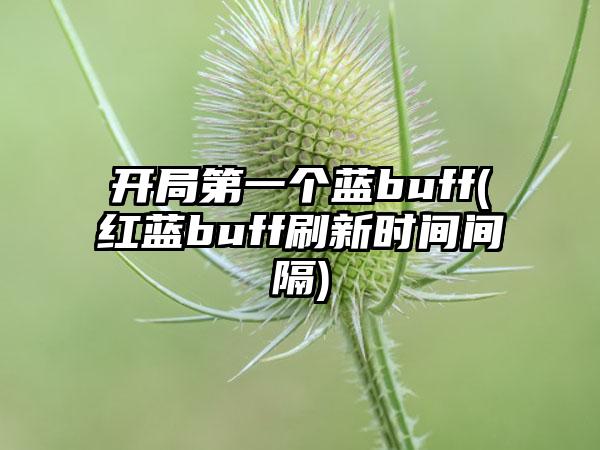 开局第一个蓝buff(红蓝buff刷新时间间隔)